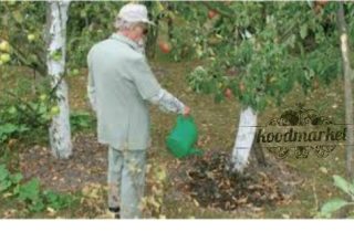 فروش کود مایع مرغی